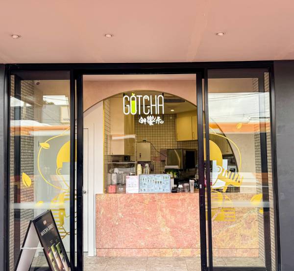 gotcha store